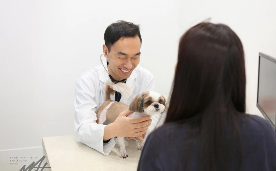 진현우 원장과 보호자가 상담하는 동물병원 진료 장면
