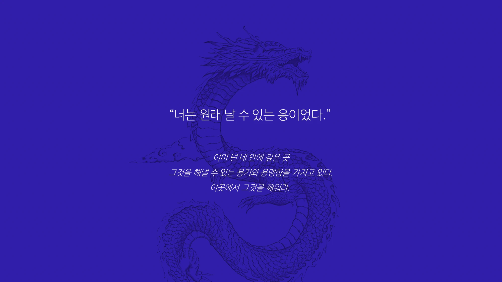 비룡태권도장 보라색 브랜드 스토리 그래픽