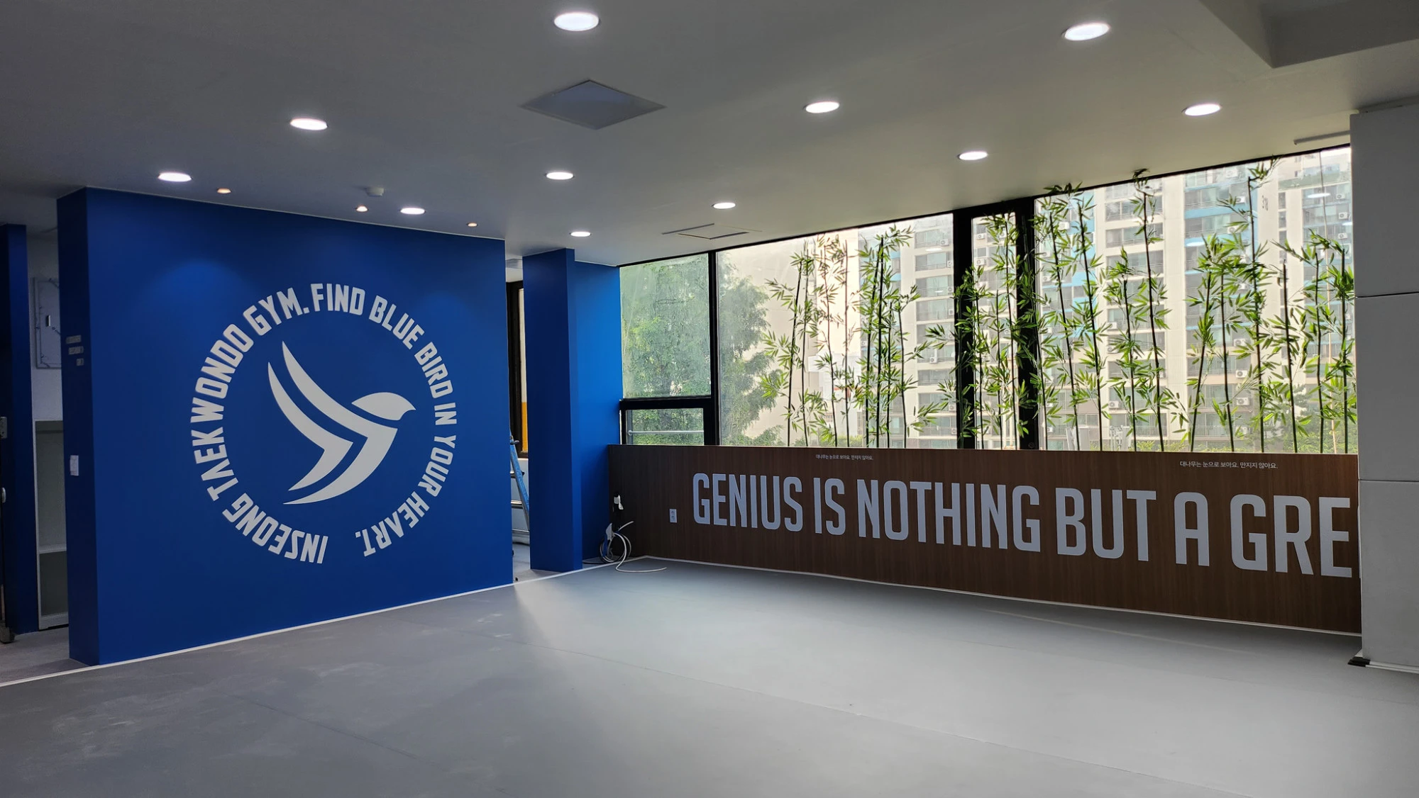 부평 BLUE BIRDS 인성 태권도장 메인 수련장
