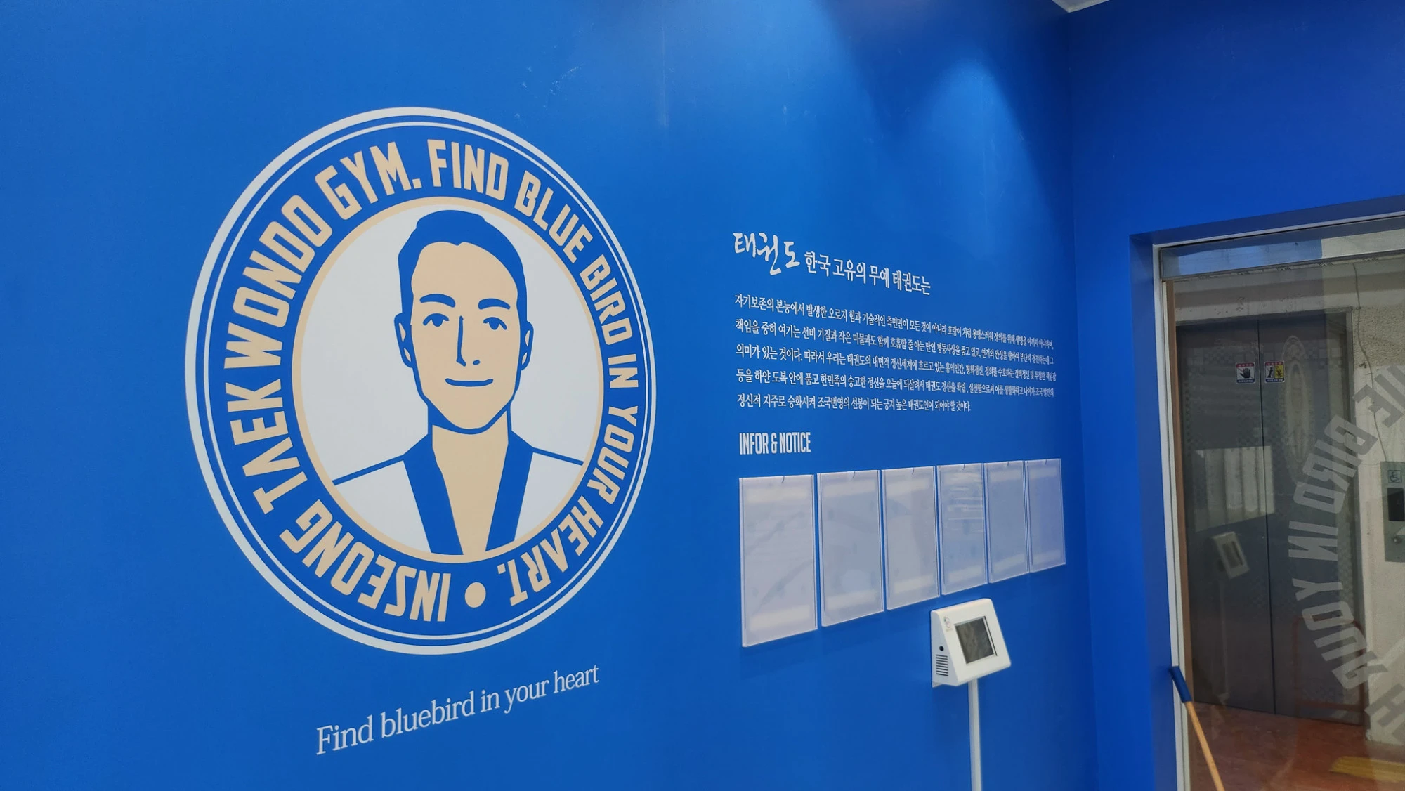 BLUE BIRDS 인성 태권도 블루 철학 벽