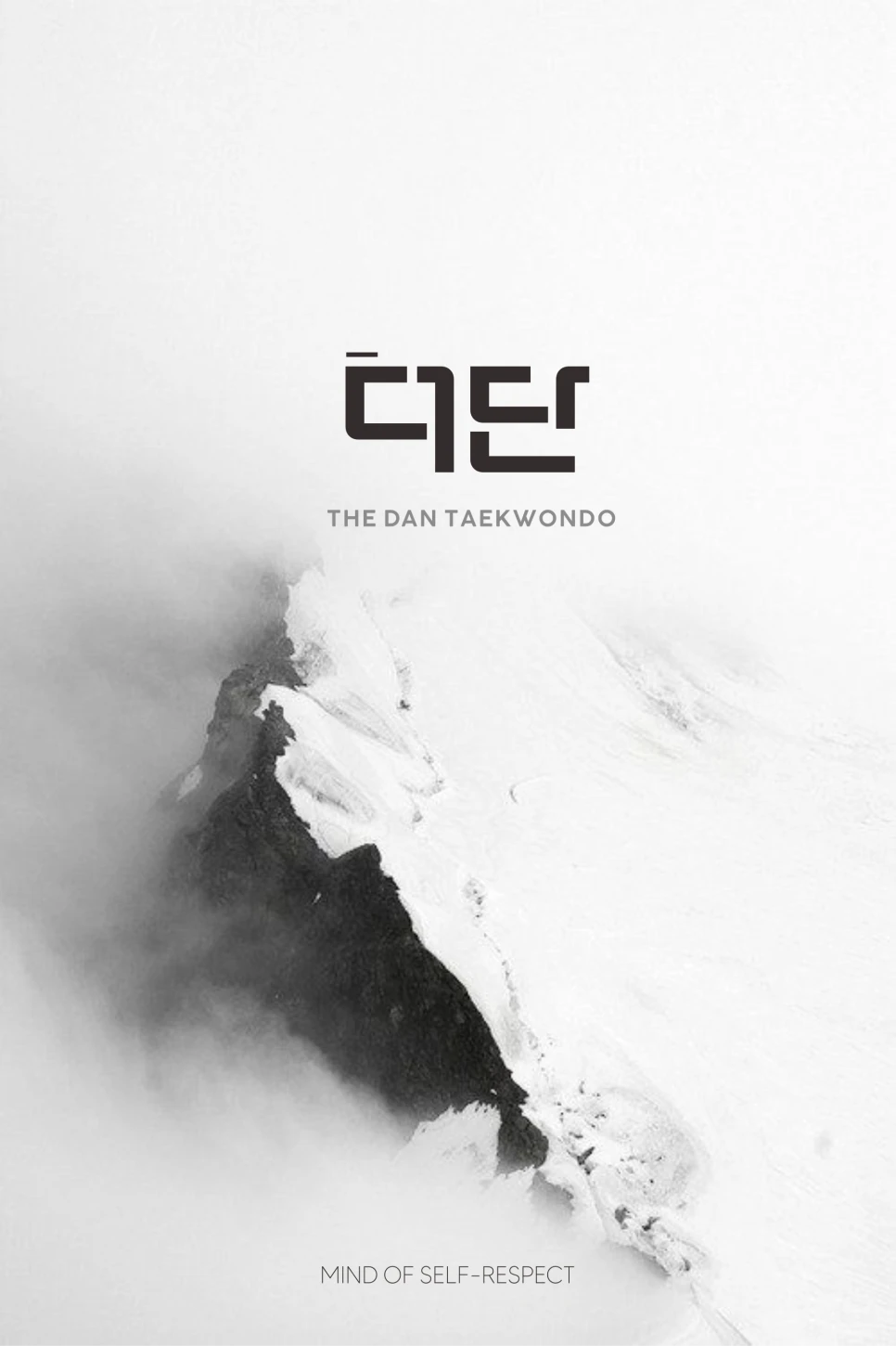 단계와 흐름을 상징하는 더단태권도장 한글 영문 BI 디자인