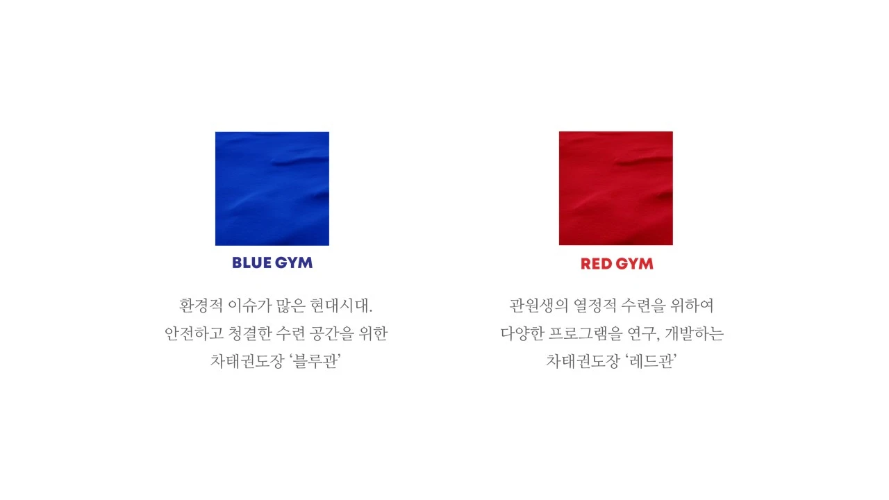 차태권도 블루관과 레드관 브랜드 컬러 콘셉트