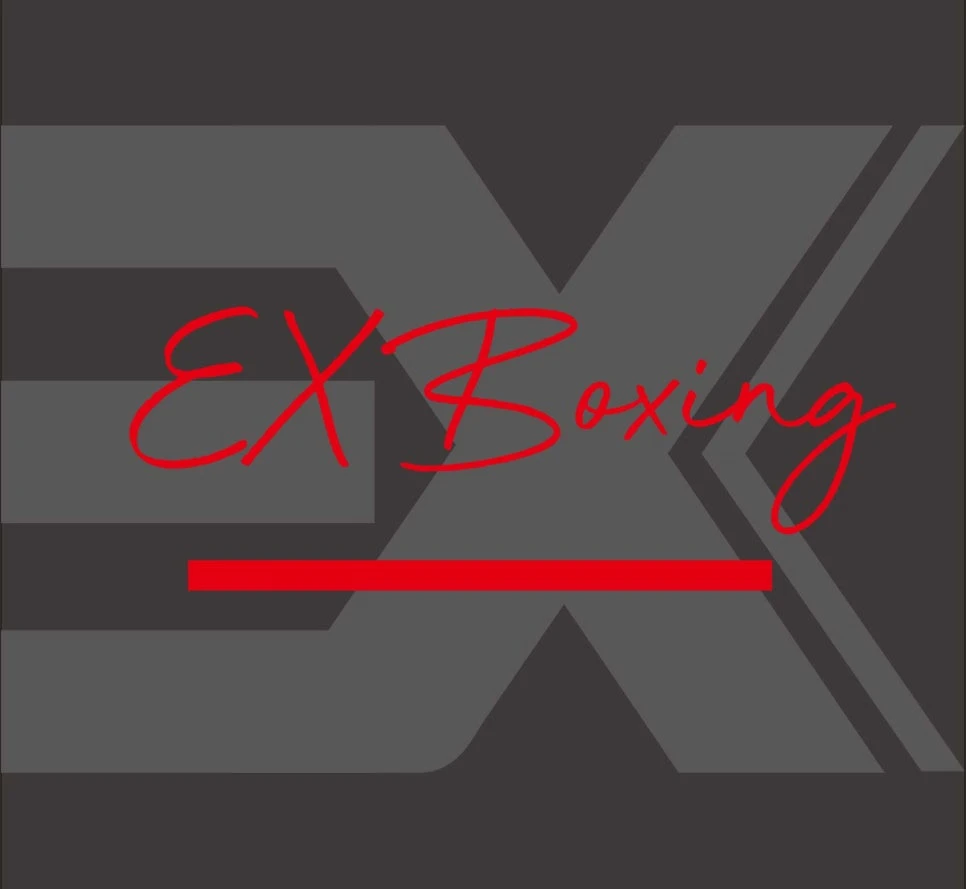 EX 심벌 위에 필기체 EX Boxing을 조합한 로고 응용